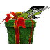 Box of Red Ribbon MU Online