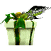 Box of Green Ribbon MU Online