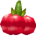 Reset Fruit Health MU Online