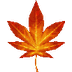 Maple Leaf MU Online