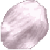 Cherry Blossom Flower Petal MU Online