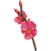 Red Cherry Blossom Branch MU Online