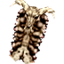 Skull Shield MU Online