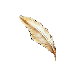 Garuda's Feather MU Online