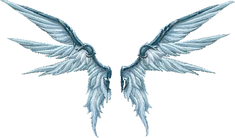 Wings of Disillusion MU Online Rune Grand Master wing