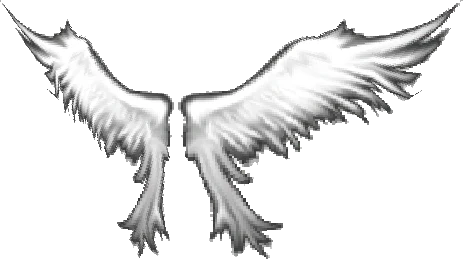 MU Online Wings of Heaven for the Dark Wizard