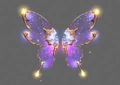 4th wing Soul Wizard MU Online
