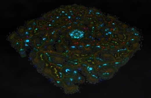 Tormenta Island map MU Online Season 19