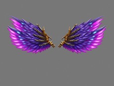 Wings of Barrier MU Online