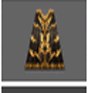 Cape of Fighter MU Online