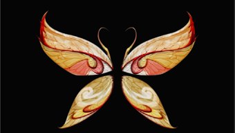 Wings of Life MU Online Season 7
