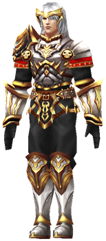 MU Online Holyangel Wizard set worn on the character