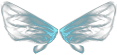 Small Wings of Elf MU Online wings