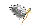 Talisman of Wings of Heaven MU Online