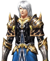 MU Online Dark Wizard guide